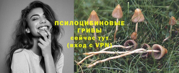 скорость Алексеевка