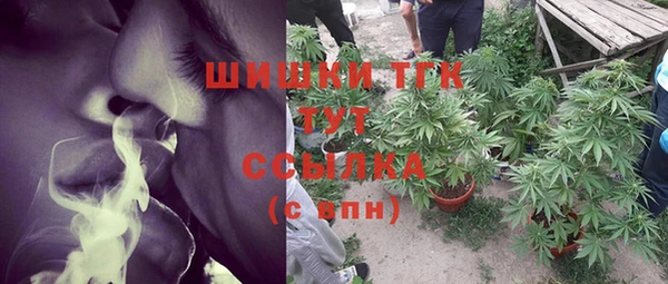прущие грибы Абаза
