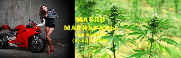 прущие грибы Абаза