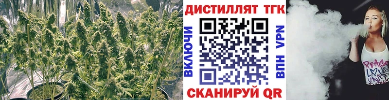 дарк нет состав  Разумное  ТГК THC oil 